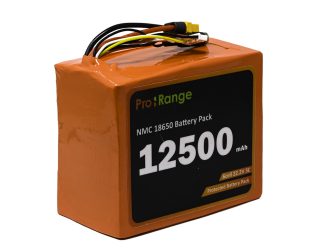 Pro-Range A Grade NMC N18650CH 22.2V 12500mAh 3C 6S5P Li-Ion Battery Pack