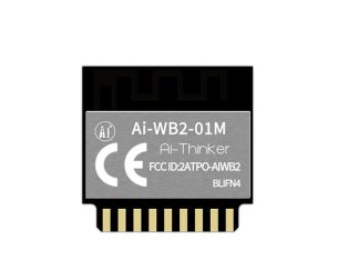 Ai-Thinker Ai-WB2-01M Module